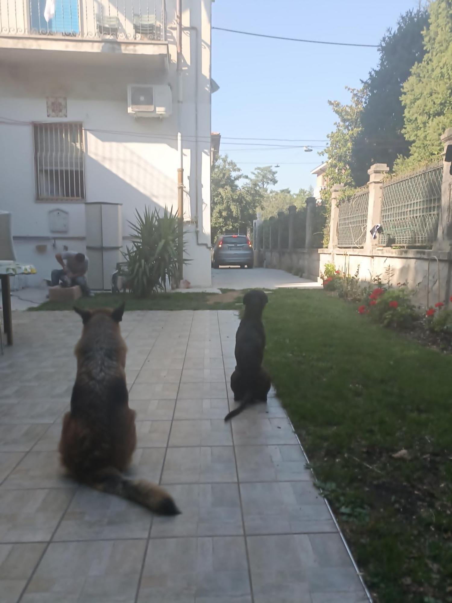 B&B Mavipagi Verona Exteriör bild
