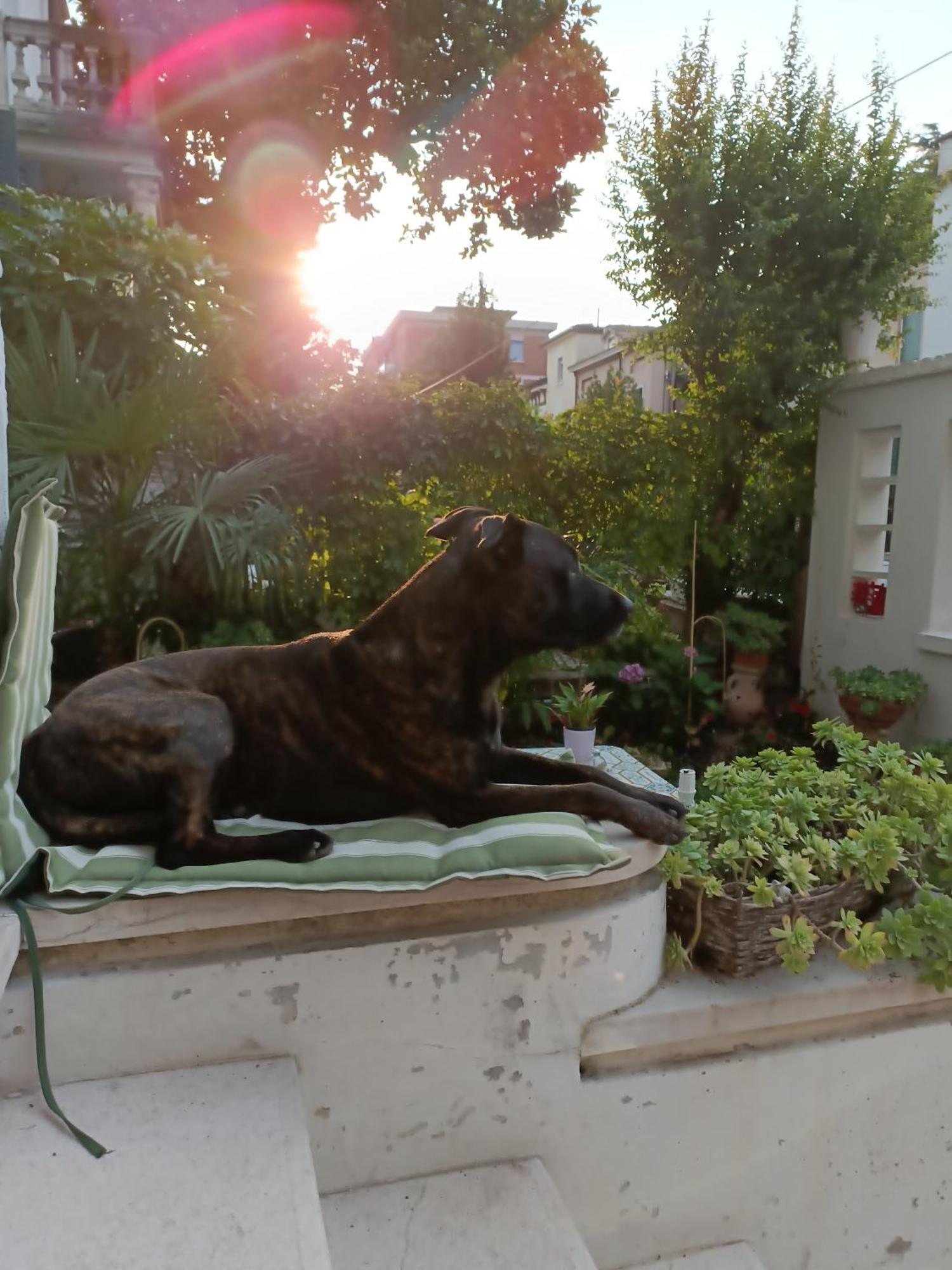 B&B Mavipagi Verona Rum bild
