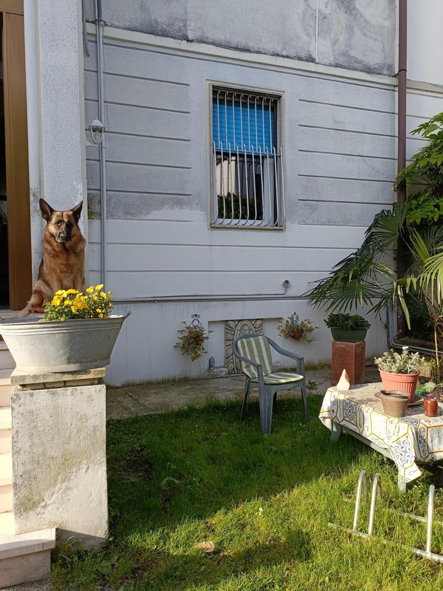 B&B Mavipagi Verona Exteriör bild